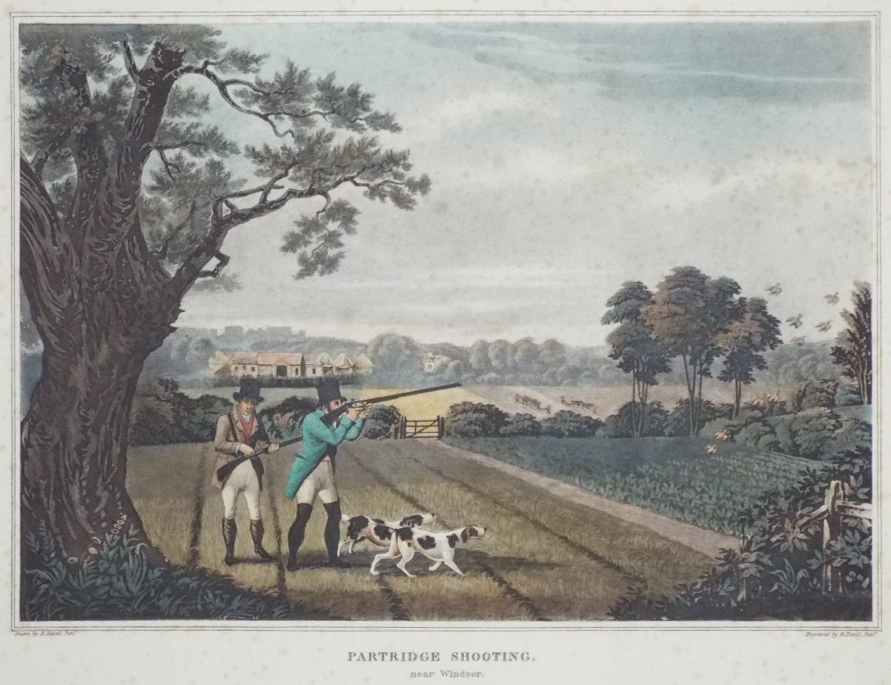 Aquatint - Partridge Shooting. near Windsor - Havell